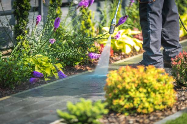 Best Pool Deck Cleaning  in Greenville, KY