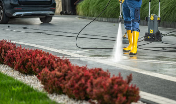 Best Sidewalk and Walkway Cleaning  in Greenville, KY